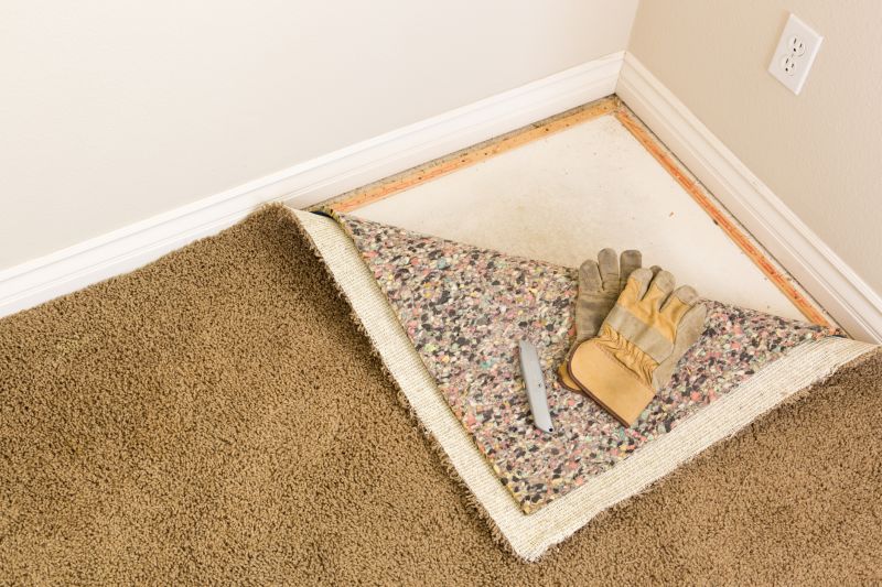 Carpet Foam Replacement