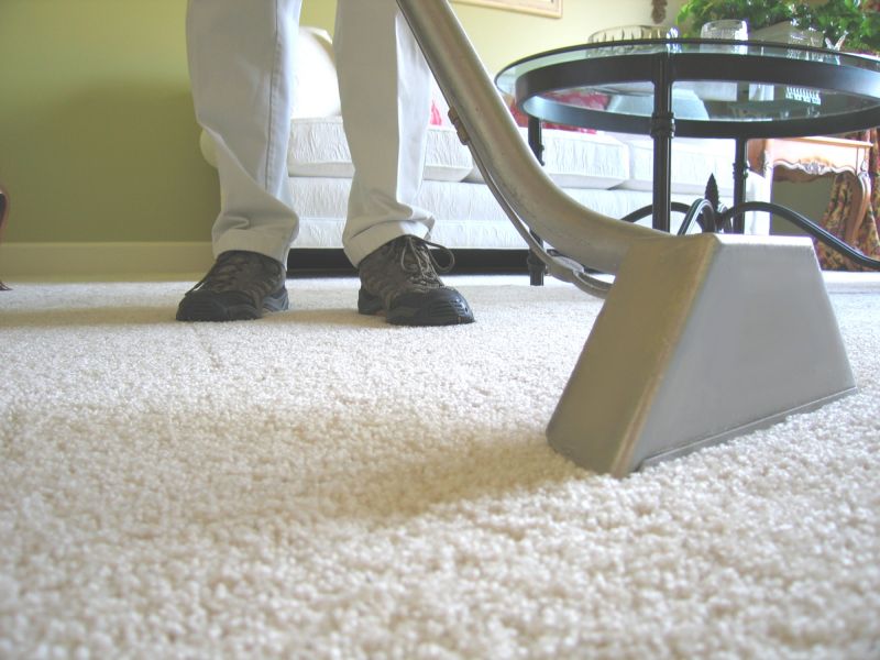 Professional Carpet Maintenance