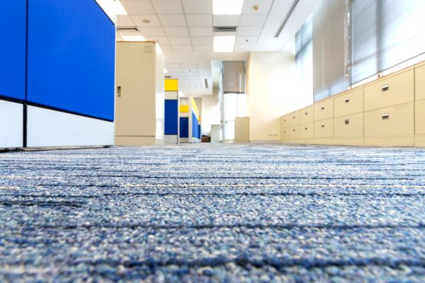 Business Carpet Cleaning in Auburn